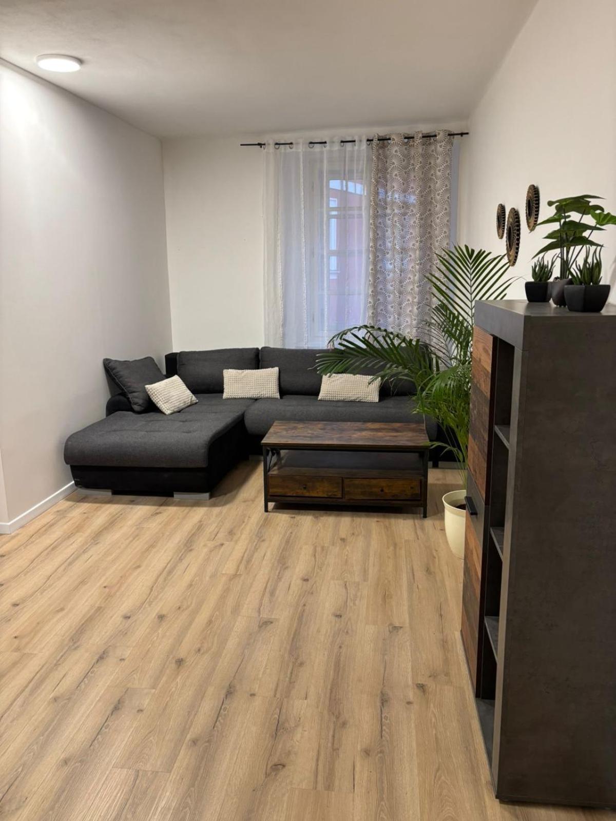 Apartment Am Schlosspark 2 Хеб Екстер'єр фото